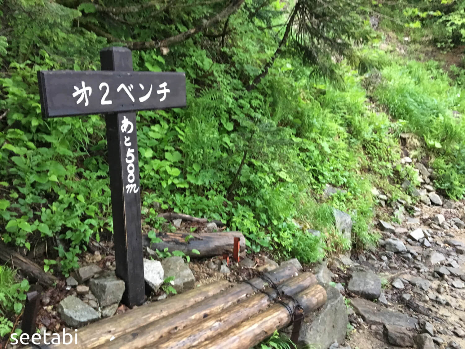 6589363e32a467687b5bfa76ab0b259f 1 - 大展望大天井から常念岳へ。熊も登場!下山は一ノ沢登山口へ 6589363e32a467687b5bfa76ab0b259f 1 - 大展望大天井から常念岳へ。熊も登場!下山は一ノ沢登山口へ
