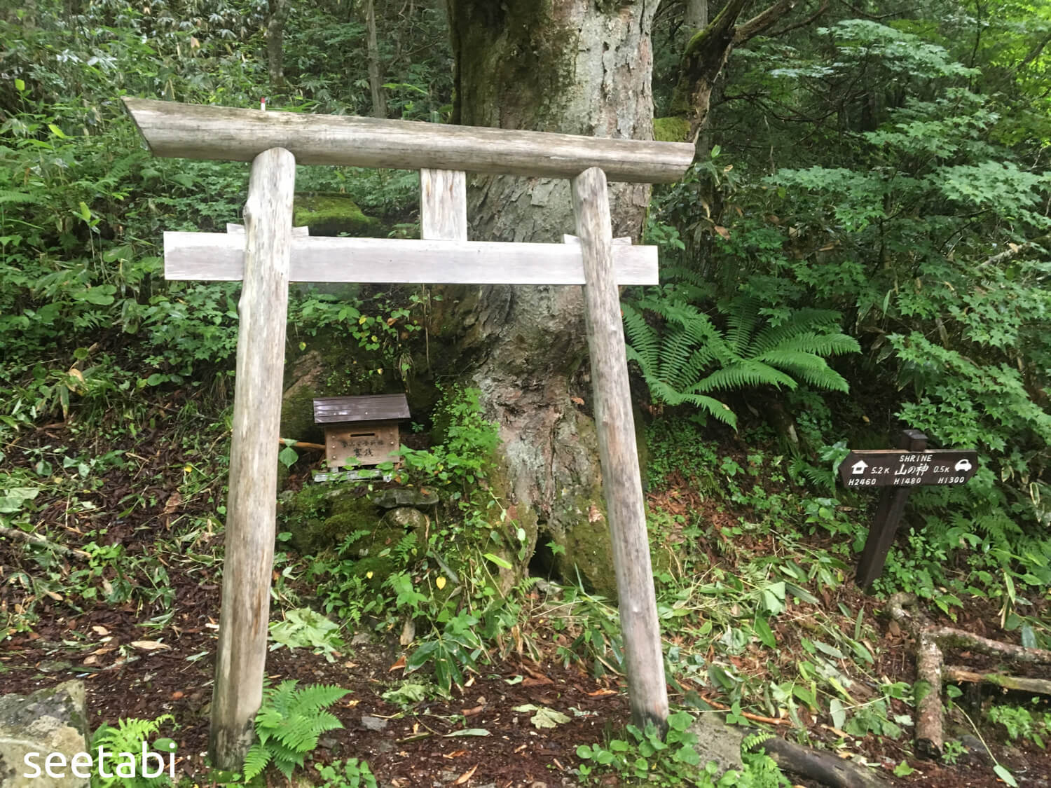 aa7eda0df41c87da3513057fb013301d 1 - 大展望大天井から常念岳へ。熊も登場!下山は一ノ沢登山口へ aa7eda0df41c87da3513057fb013301d 1 - 大展望大天井から常念岳へ。熊も登場!下山は一ノ沢登山口へ