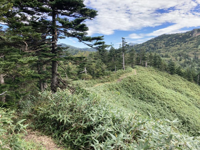 239a61386decee3f121db23b1fbb23f0 - 志賀高原　明石山