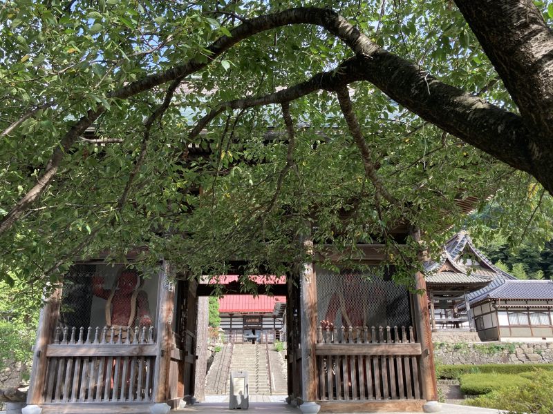 343c1c7f5aa82a8a19a53708f6751af9 - 小布施 雁田山 343c1c7f5aa82a8a19a53708f6751af9 - 小布施 雁田山