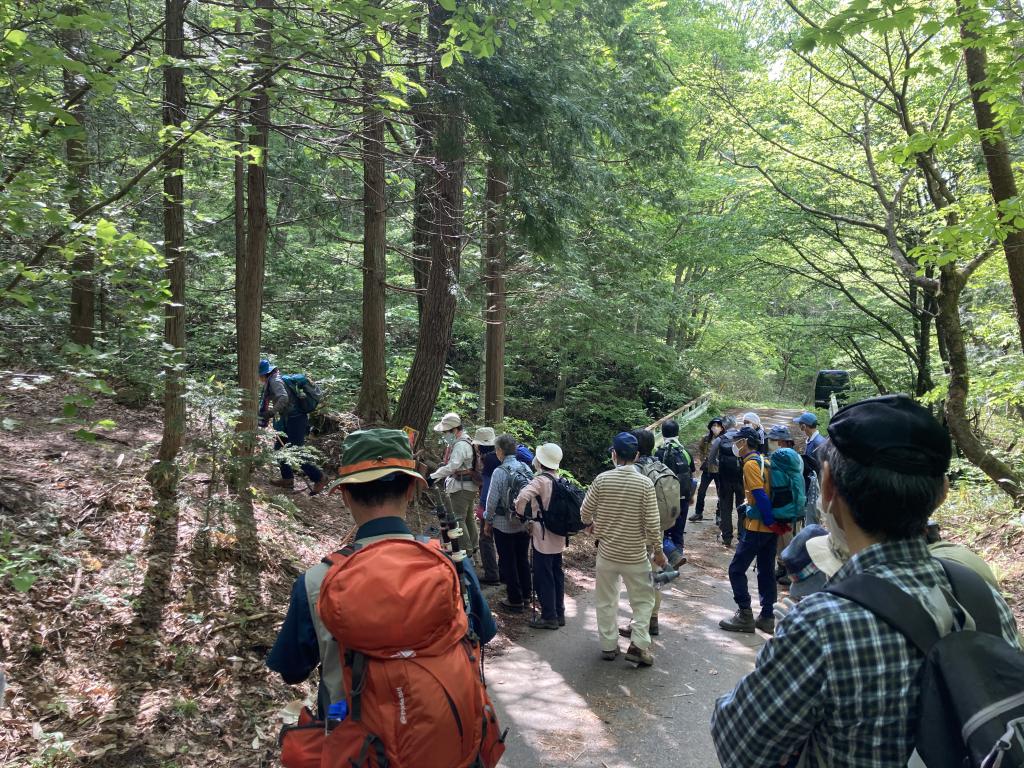 1 1 - 花と絶景の里山 長野県大町 鍬ノ峰 1 1 - 花と絶景の里山 長野県大町 鍬ノ峰