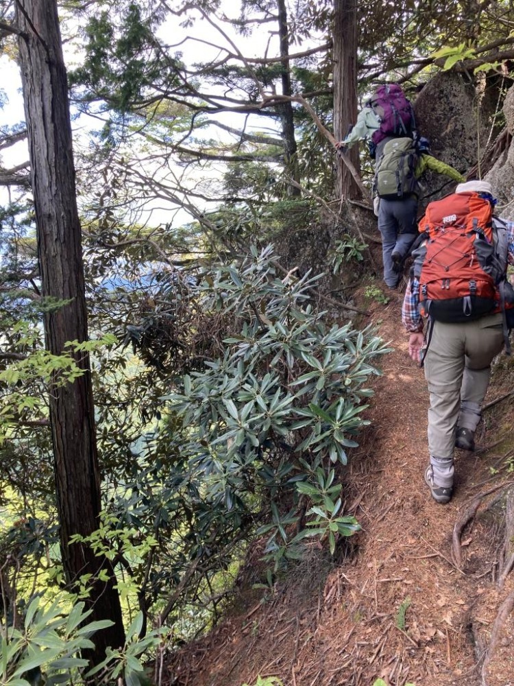 15 e1622444085958 - 花と絶景の里山 長野県大町 鍬ノ峰 15 e1622444085958 - 花と絶景の里山 長野県大町 鍬ノ峰