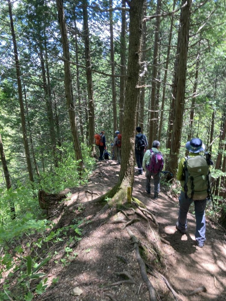 16 e1622444114806 - 花と絶景の里山 長野県大町 鍬ノ峰 16 e1622444114806 - 花と絶景の里山 長野県大町 鍬ノ峰