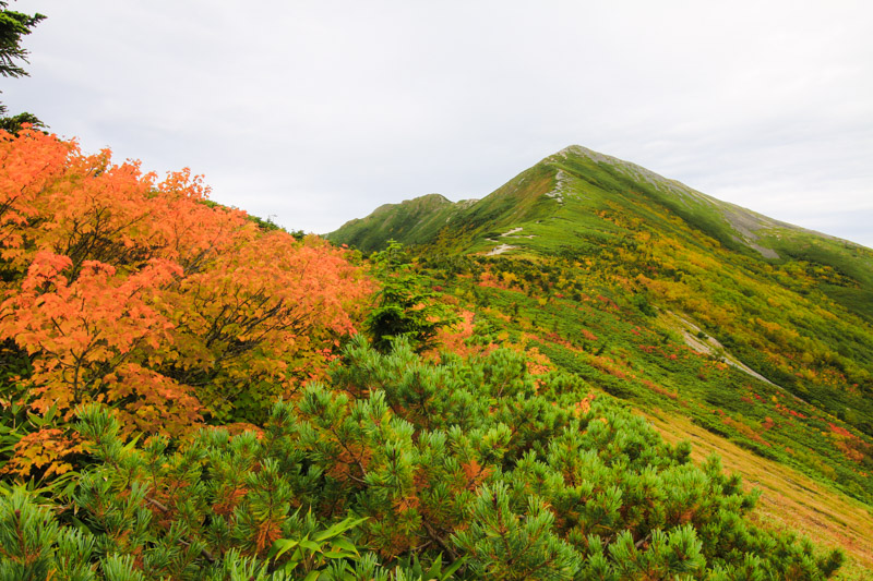 mamikutoi kiretto 0018 - 爺ヶ岳ー鹿島槍ヶ岳ー八峰キレットー五竜岳縦走