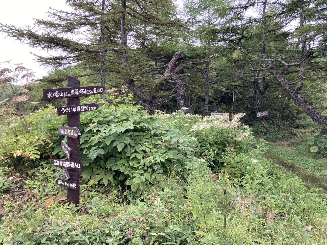 IMG 4876 1 - 穴場日帰り登山!湯の丸近く水ノ塔山・篭ノ登山はトレーニングにおすすめ IMG 4876 1 - 穴場日帰り登山!湯の丸近く水ノ塔山・篭ノ登山はトレーニングにおすすめ