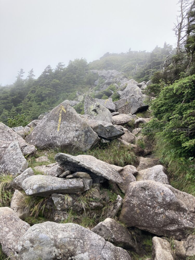 IMG 4888 - 穴場日帰り登山!湯の丸近く水ノ塔山・篭ノ登山はトレーニングにおすすめ IMG 4888 - 穴場日帰り登山!湯の丸近く水ノ塔山・篭ノ登山はトレーニングにおすすめ
