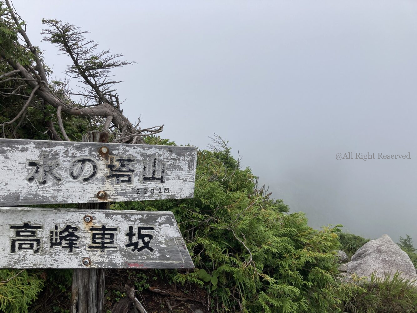 IMG 4890 - 穴場日帰り登山!湯の丸近く水ノ塔山・篭ノ登山はトレーニングにおすすめ IMG 4890 - 穴場日帰り登山!湯の丸近く水ノ塔山・篭ノ登山はトレーニングにおすすめ
