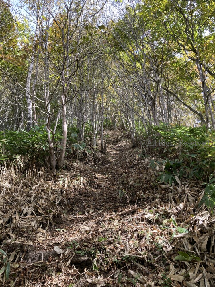 IMG 5222 - 紅葉の長野県 日帰り登山におすすめの鍬ノ峰 IMG 5222 - 紅葉の長野県 日帰り登山におすすめの鍬ノ峰
