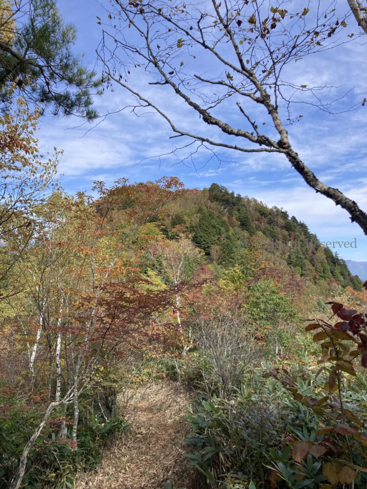 IMG 5226 - 紅葉の長野県 日帰り登山におすすめの鍬ノ峰 IMG 5226 - 紅葉の長野県 日帰り登山におすすめの鍬ノ峰