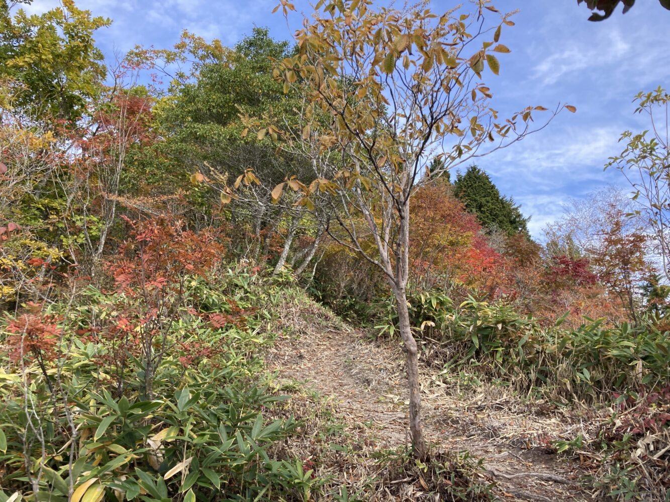 IMG 5227 - 紅葉の長野県 日帰り登山におすすめの鍬ノ峰 IMG 5227 - 紅葉の長野県 日帰り登山におすすめの鍬ノ峰