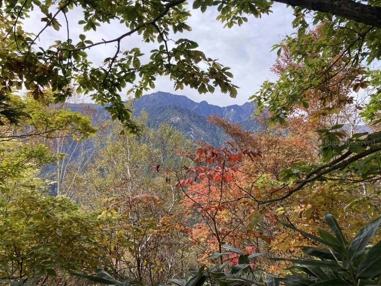 IMG 5229 - 紅葉の長野県 日帰り登山におすすめの鍬ノ峰 IMG 5229 - 紅葉の長野県 日帰り登山におすすめの鍬ノ峰