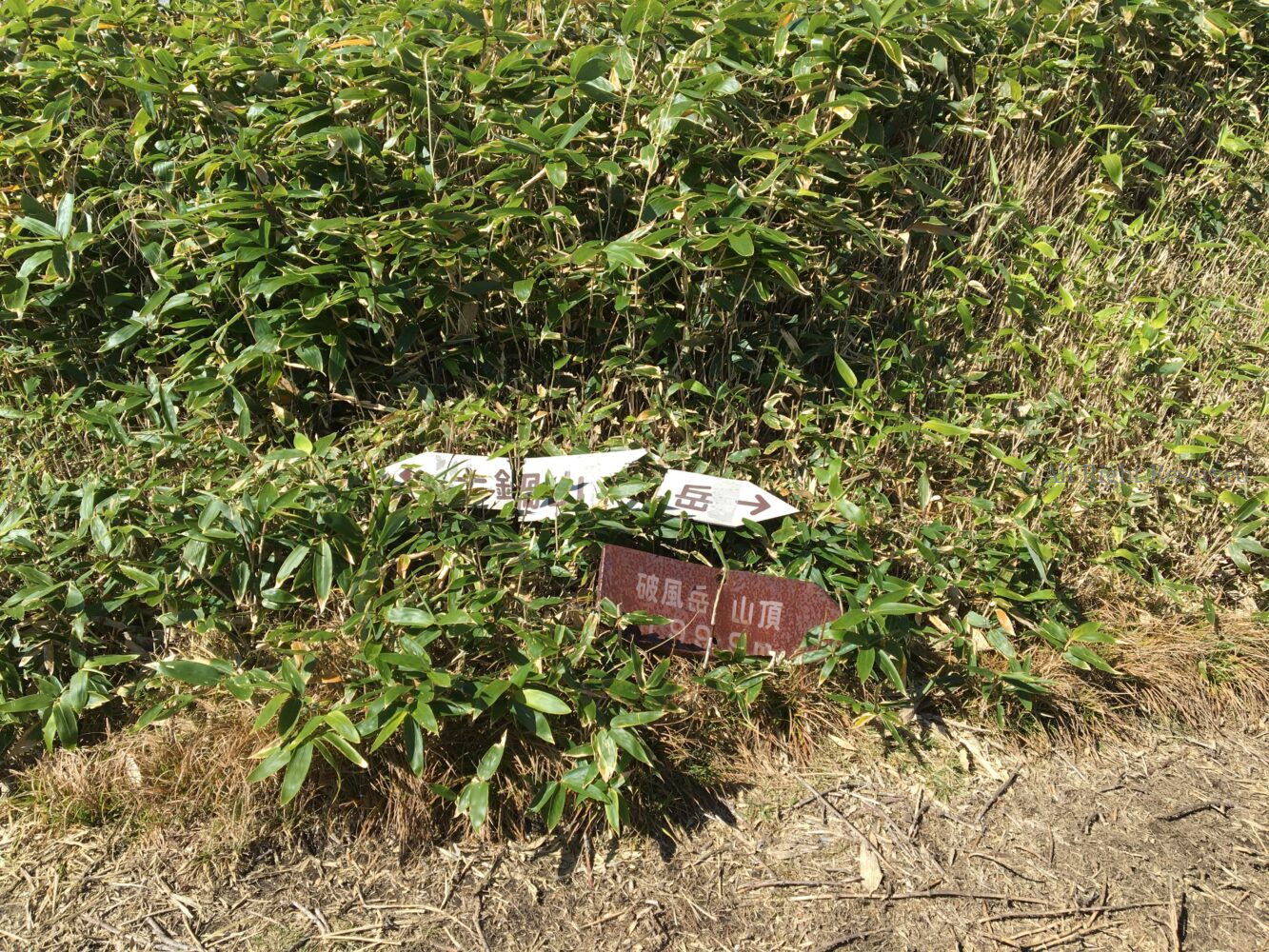 IMG 9231 - 美味しそうな山 破風岳ー御飯岳ー土鍋山へ IMG 9231 - 美味しそうな山 破風岳ー御飯岳ー土鍋山へ