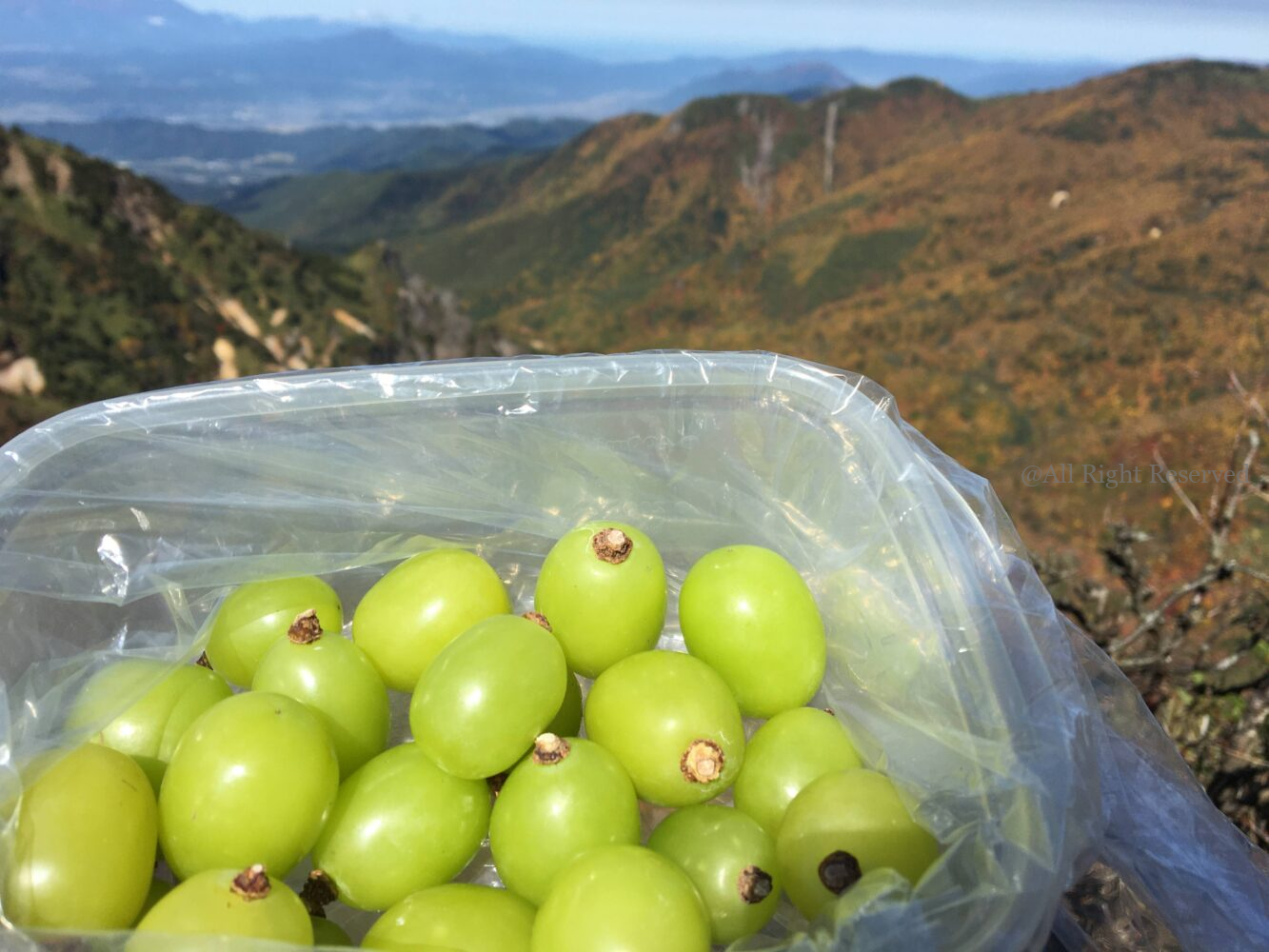 IMG 9239 1 - 美味しそうな山 破風岳ー御飯岳ー土鍋山へ IMG 9239 1 - 美味しそうな山 破風岳ー御飯岳ー土鍋山へ