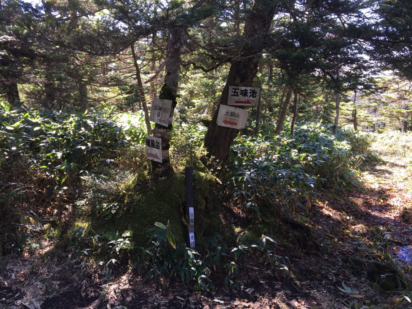 IMG 9243 - 美味しそうな山 破風岳ー御飯岳ー土鍋山へ IMG 9243 - 美味しそうな山 破風岳ー御飯岳ー土鍋山へ