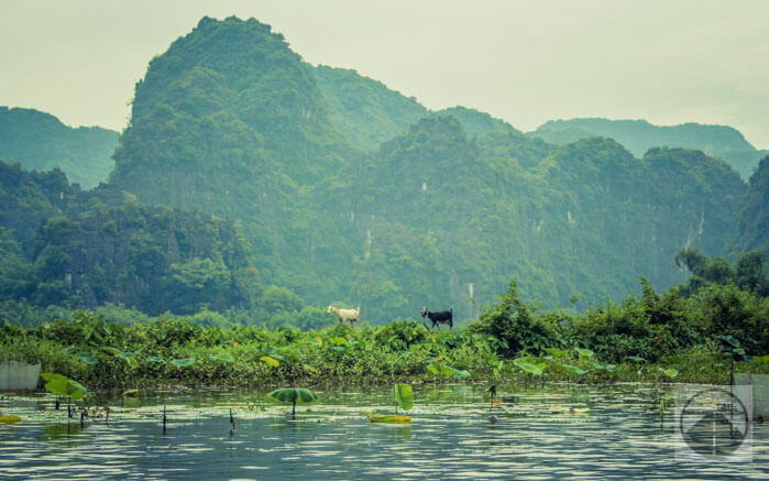 vietnam, asia - タムコック(Tam Coc)ボートツアーと古都ホアルー(Hoa Lu)を堪能 2 - ハノイ, アジア観光, アジア絶景