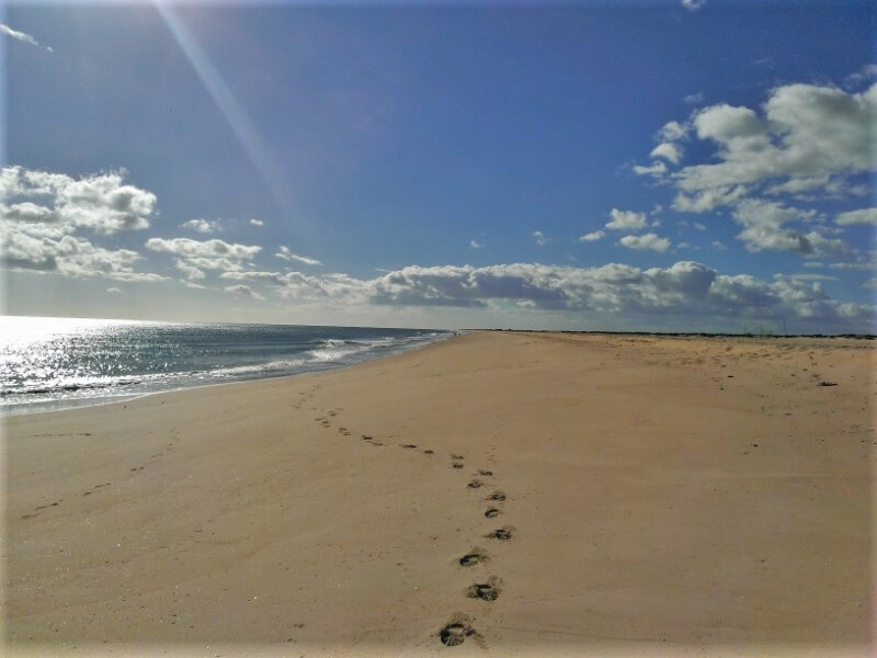 pt-algarve - 10km以上も続く砂浜　タヴィラ島 - 旅ログポルトガル