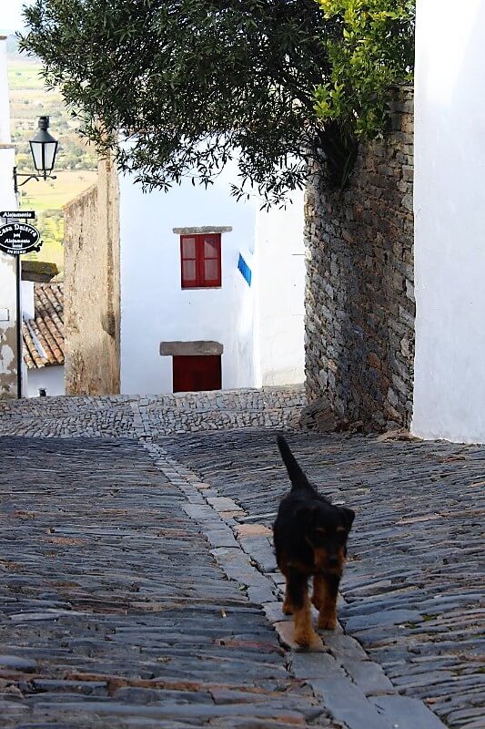 pt-alentejo - エヴォラからモンサラーシュ経由ファロへ - 旅ログポルトガル