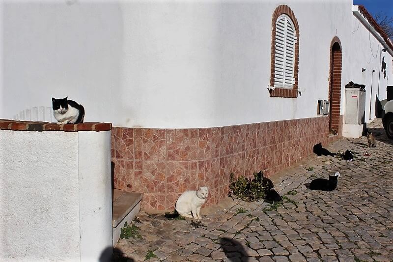 pt-algarve - ラゴスからアルテ、サリル、オリョンを経由してファロへ - 旅ログポルトガル