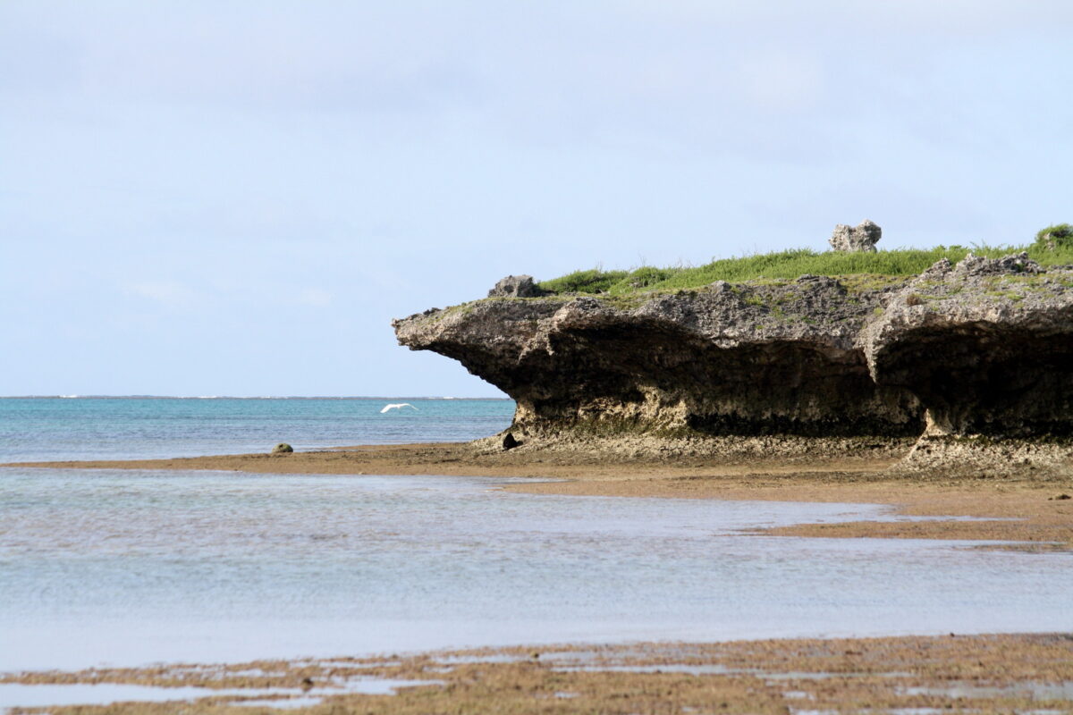 ok-log - 黒島でシュノーケルして昼から沖縄本島へ #旅ログ - 竹富・小浜・黒島, 旅ログ