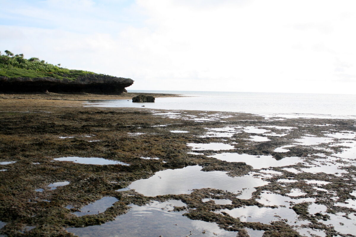 ok-log - 黒島でシュノーケルして昼から沖縄本島へ #旅ログ - 竹富・小浜・黒島, 旅ログ