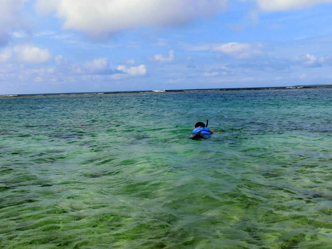 ok-log - 黒島でシュノーケルして昼から沖縄本島へ #旅ログ - 竹富・小浜・黒島, 旅ログ