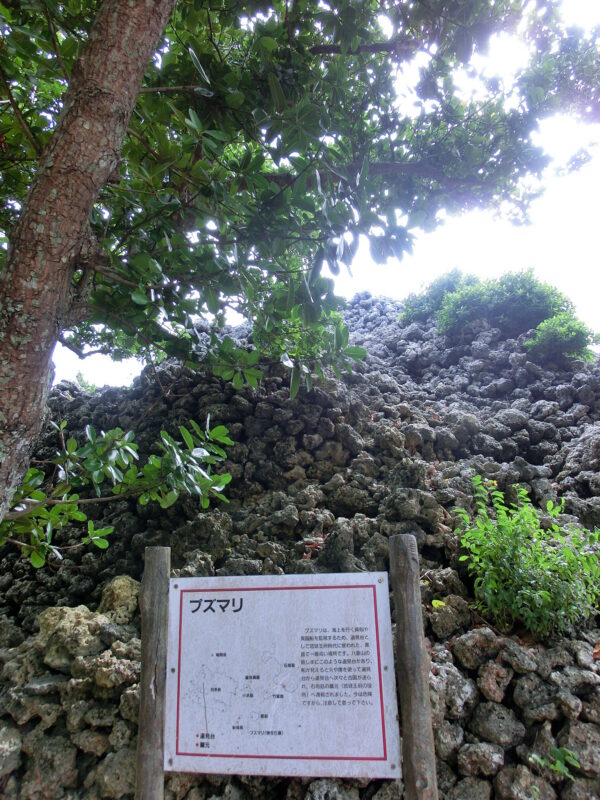 ok-log - 黒島でシュノーケルして昼から沖縄本島へ #旅ログ - 竹富・小浜・黒島, 旅ログ