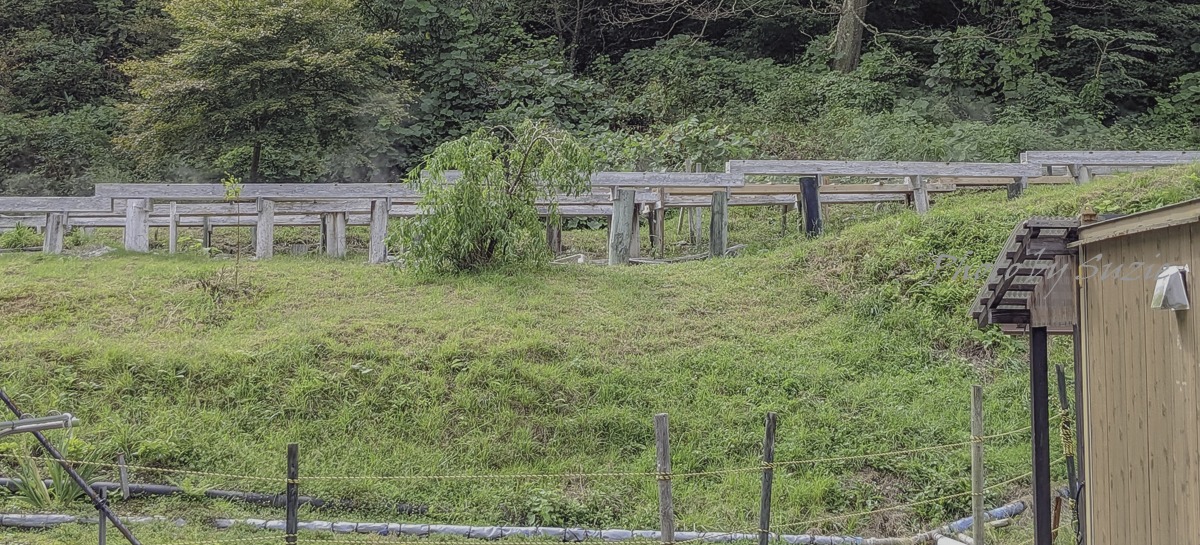 鳴子中山平しんとろの湯!100か所以上の温泉に入った私が1番好きな温泉 - touhoku, iwate - 鳴子中山平しんとろの湯!100か所以上の温泉に入った私が1番好きな温泉 - 温泉