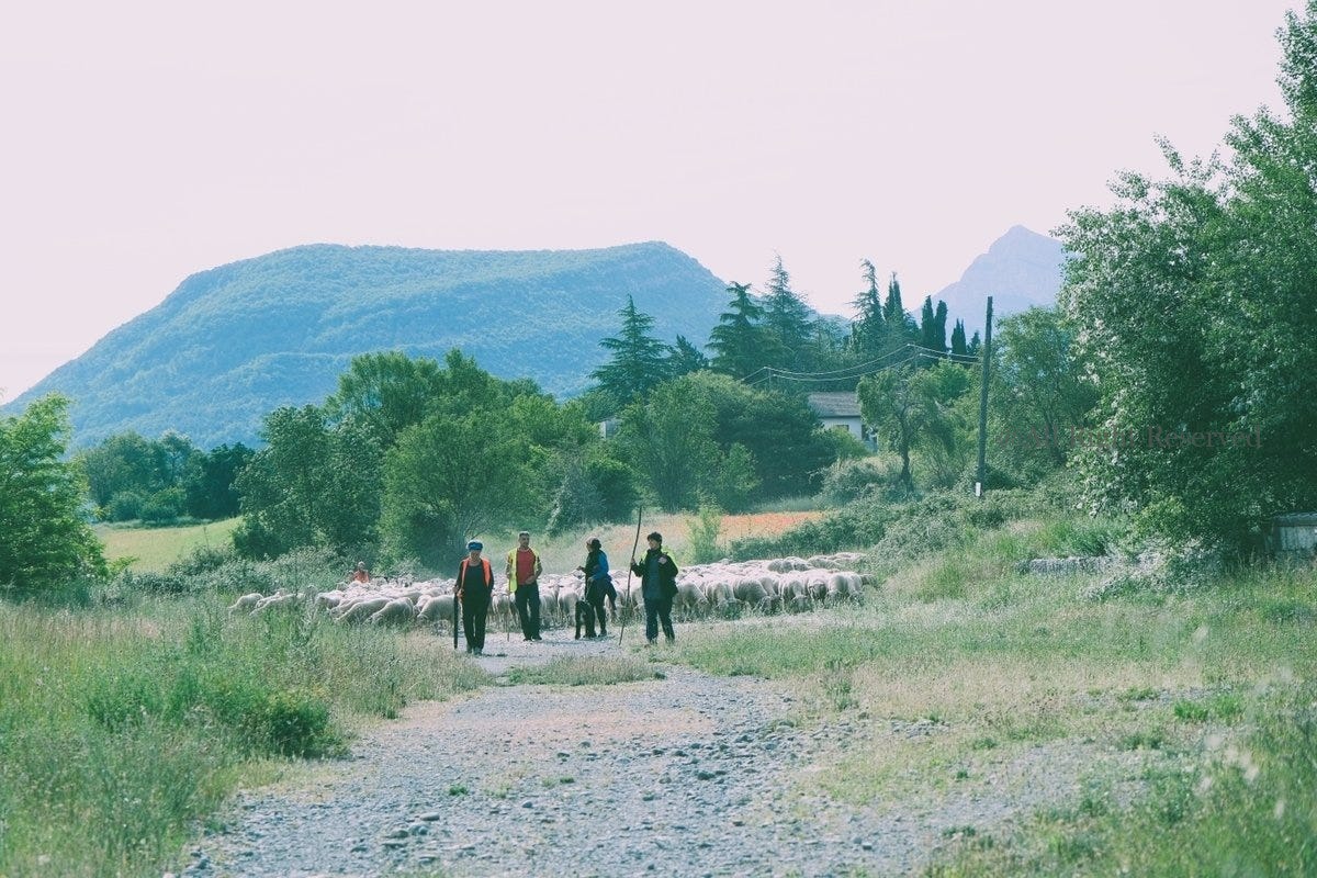Caminoとは?スペイン巡礼Camino de SantiagoとThe Way(映画) - column - Caminoとは?スペイン巡礼Camino de SantiagoとThe Way(映画) - 教会, バックパッカー, スペイン巡礼Camino, feature