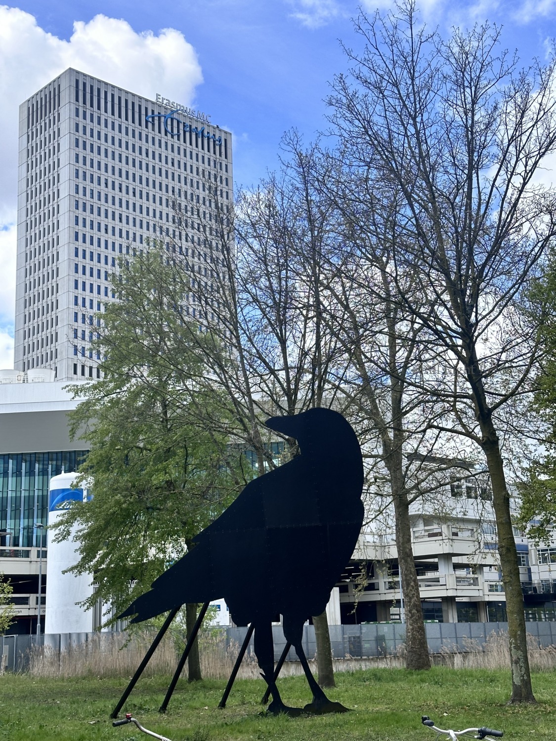 モダン都市ロッテルダム中心街は半日あれば十分 - hollands - モダン都市ロッテルダム中心街は半日あれば十分 - 街歩き