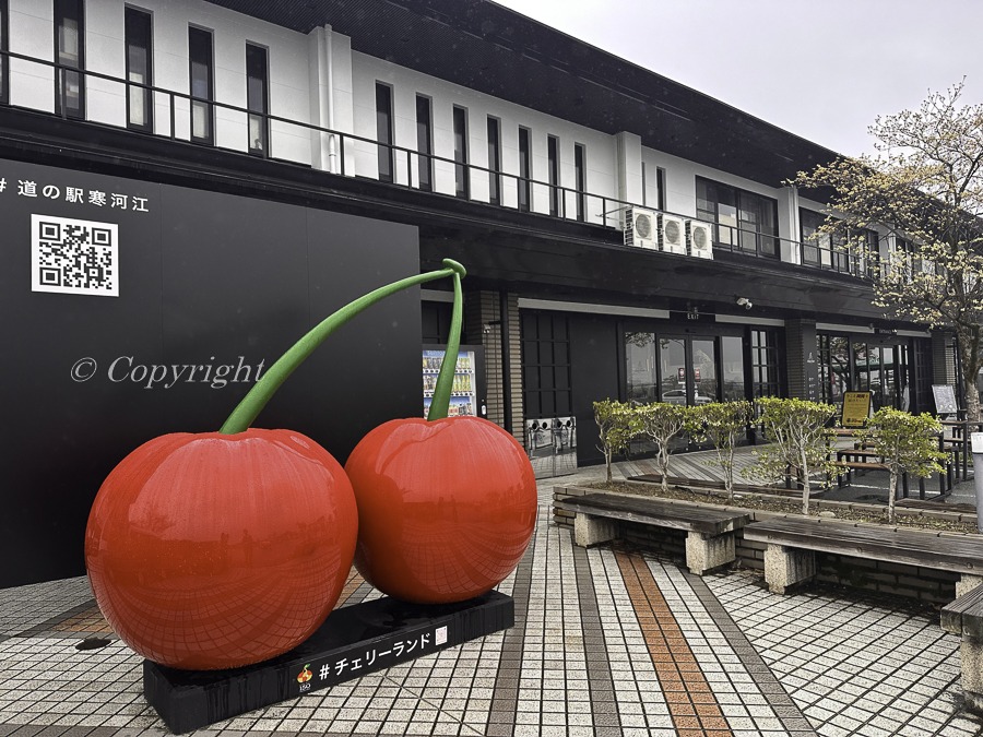 山形県旅行のお土産におすすめしたい特産品10選 - yamagata - 山形県旅行のお土産におすすめしたい特産品10選 - 山形村山地域(月山・山形市), 山形庄内地域(鶴岡・遊佐)
